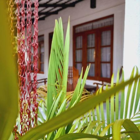 The Cozy Cottage הבאראנה מראה חיצוני תמונה