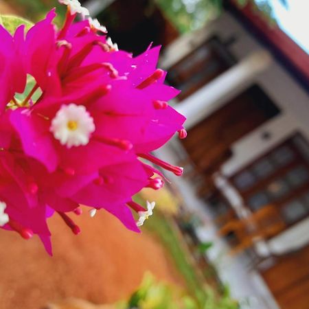 The Cozy Cottage הבאראנה מראה חיצוני תמונה