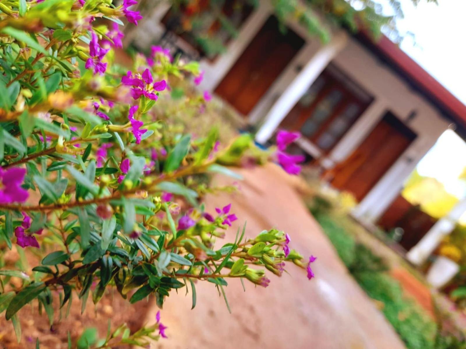 The Cozy Cottage הבאראנה מראה חיצוני תמונה