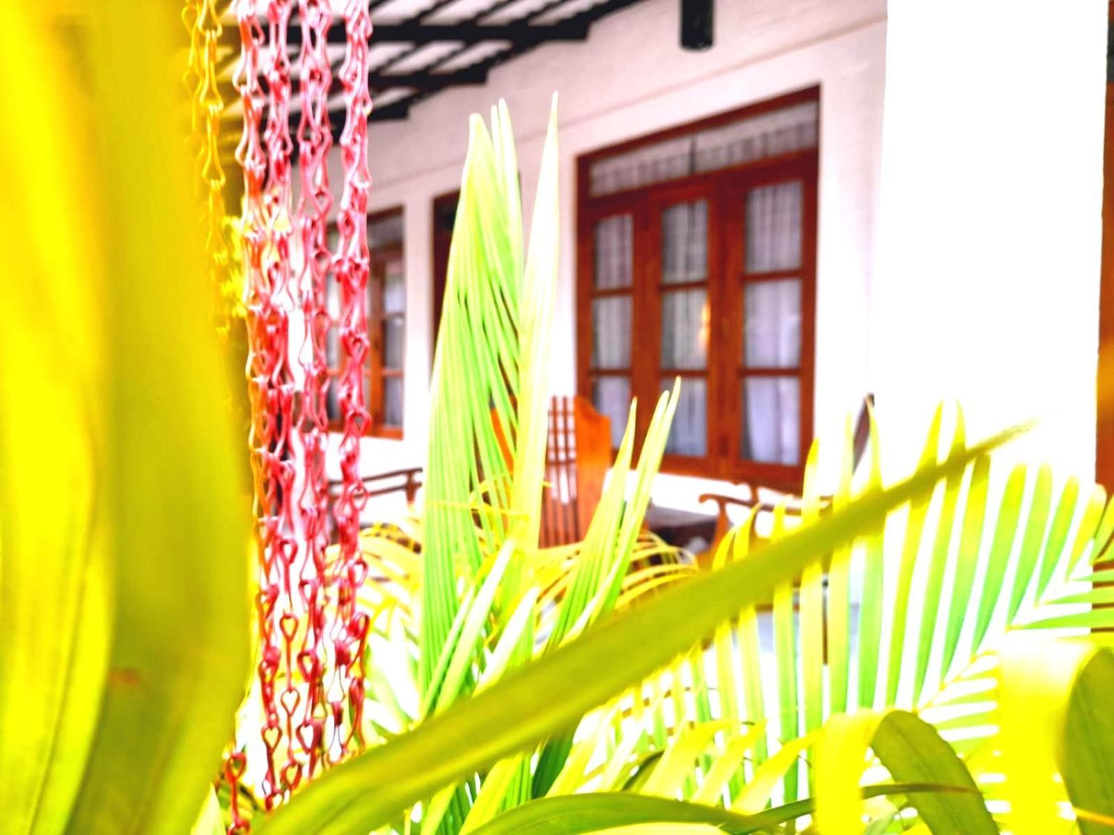 The Cozy Cottage הבאראנה מראה חיצוני תמונה